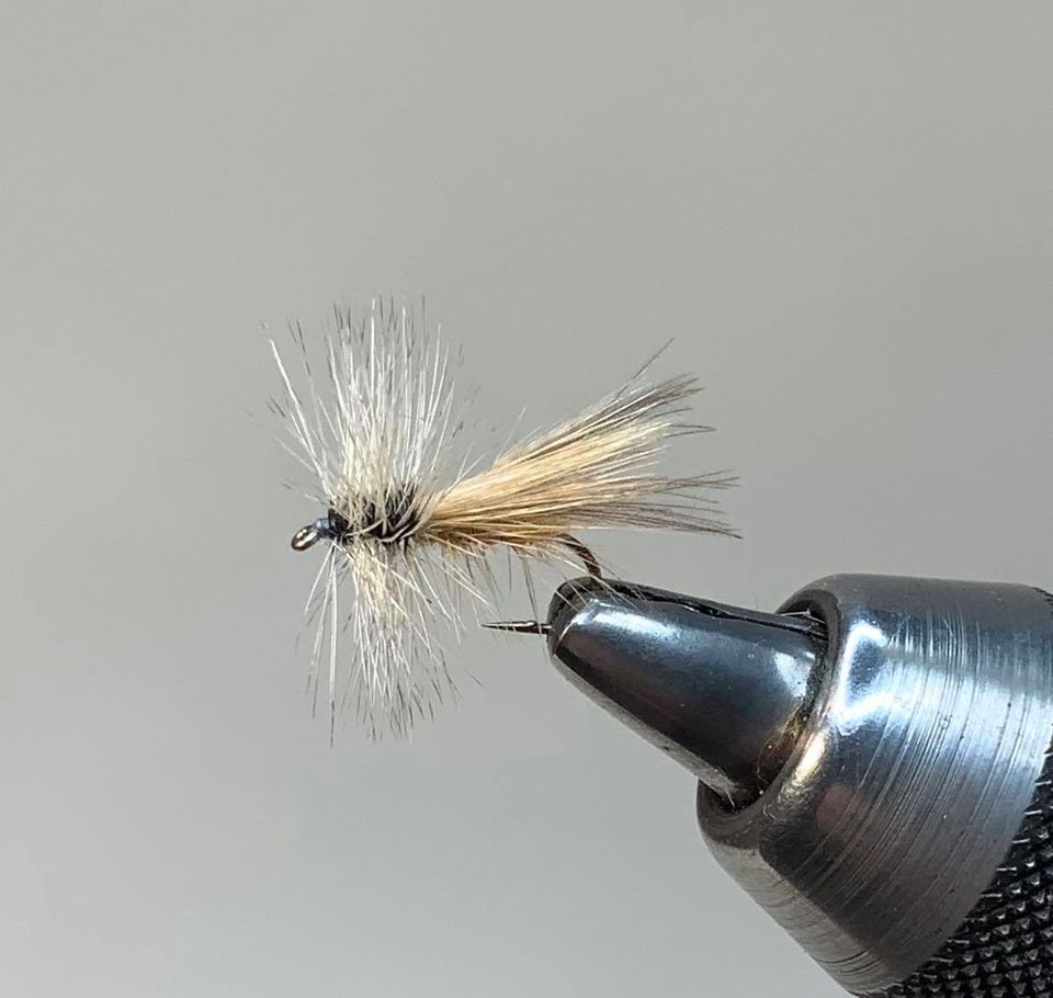 Light MG Fast Water Caddis tied by Michael Gula, whiting farms pro team